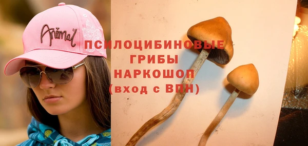 прущая мука Лабытнанги